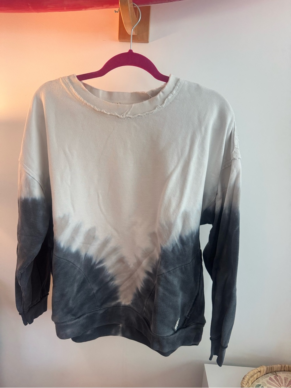 Free People Sweatshirt
